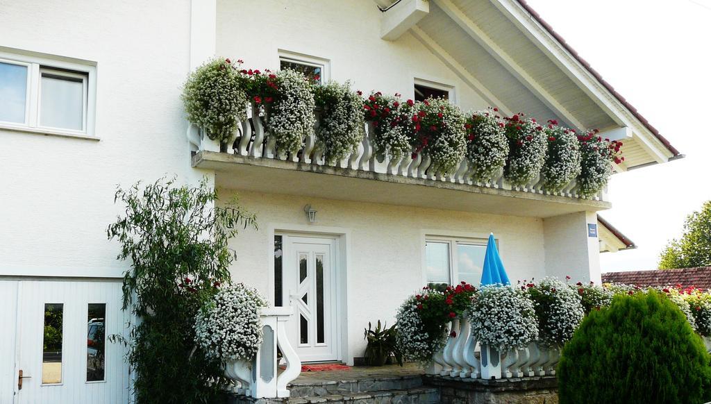 Hotel Ranch Terra Irinovac Exterior foto