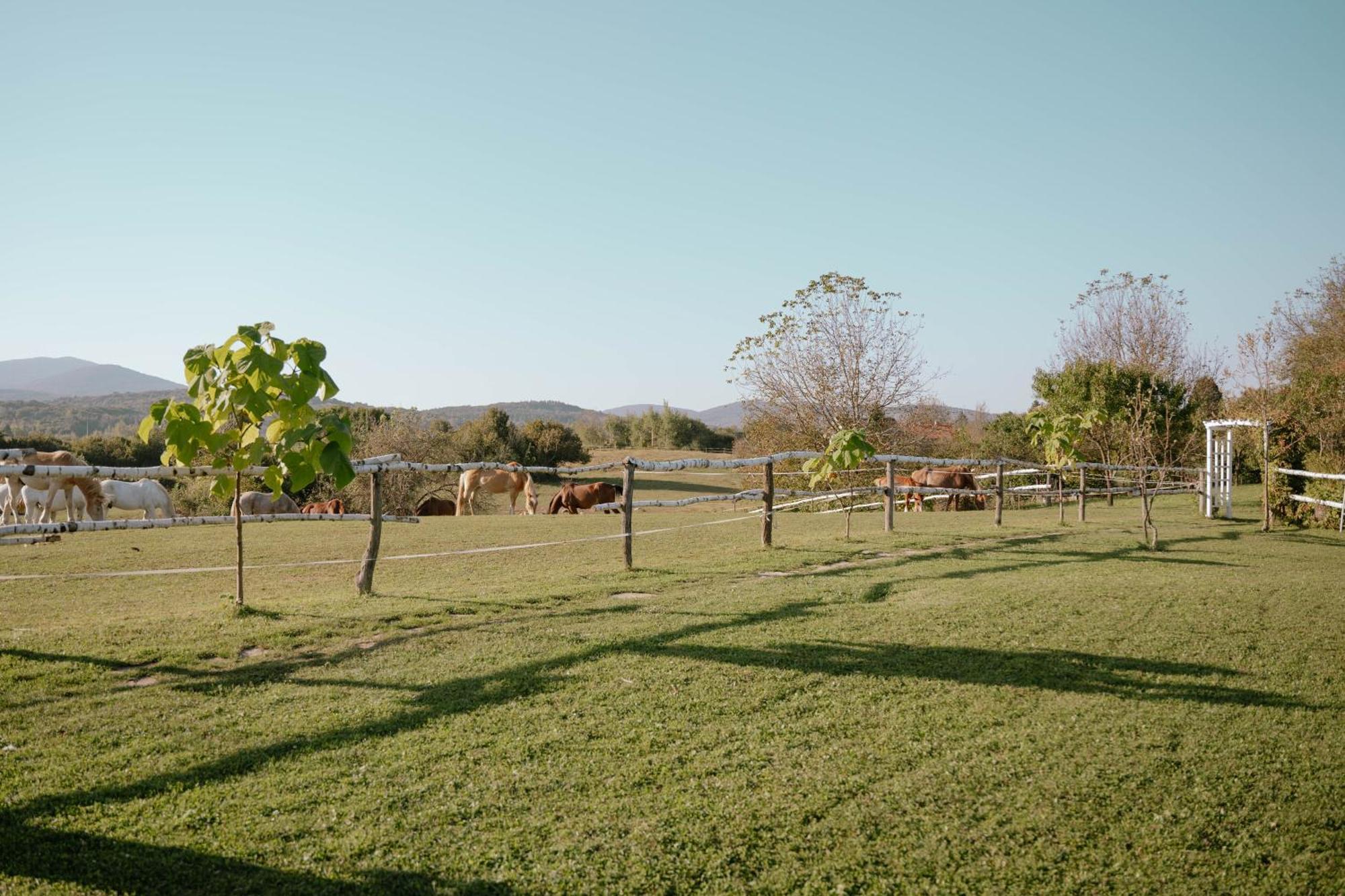 Hotel Ranch Terra Irinovac Exterior foto