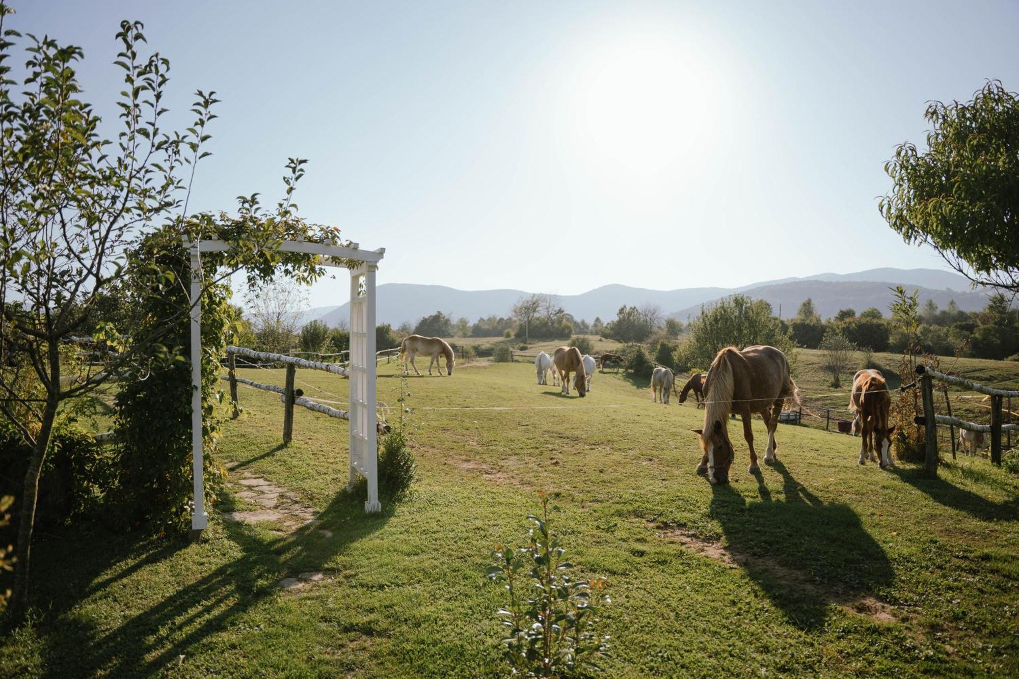 Hotel Ranch Terra Irinovac Exterior foto
