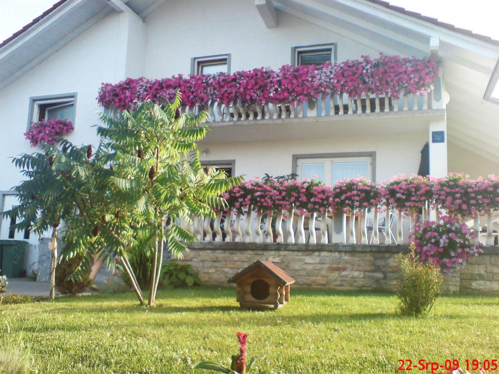 Hotel Ranch Terra Irinovac Exterior foto